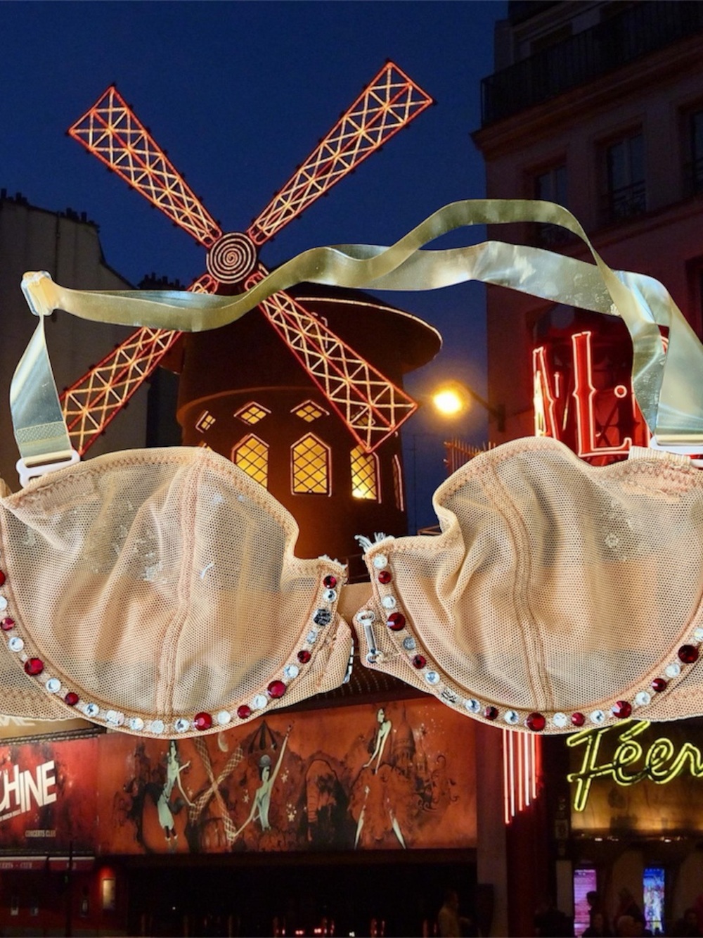 The Nude Bra